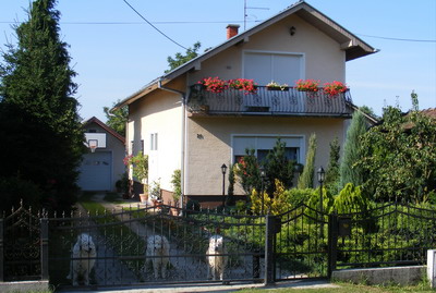 svi.jpg